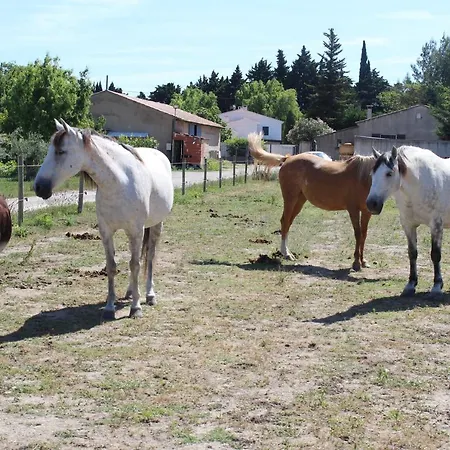 La Sarriette - D'hotes Et D'etape A Bed & Breakfast