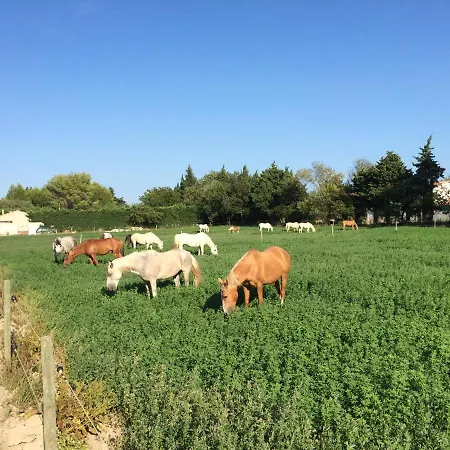 Bed & Breakfast La Sarriette - D'hotes Et D'etape A *